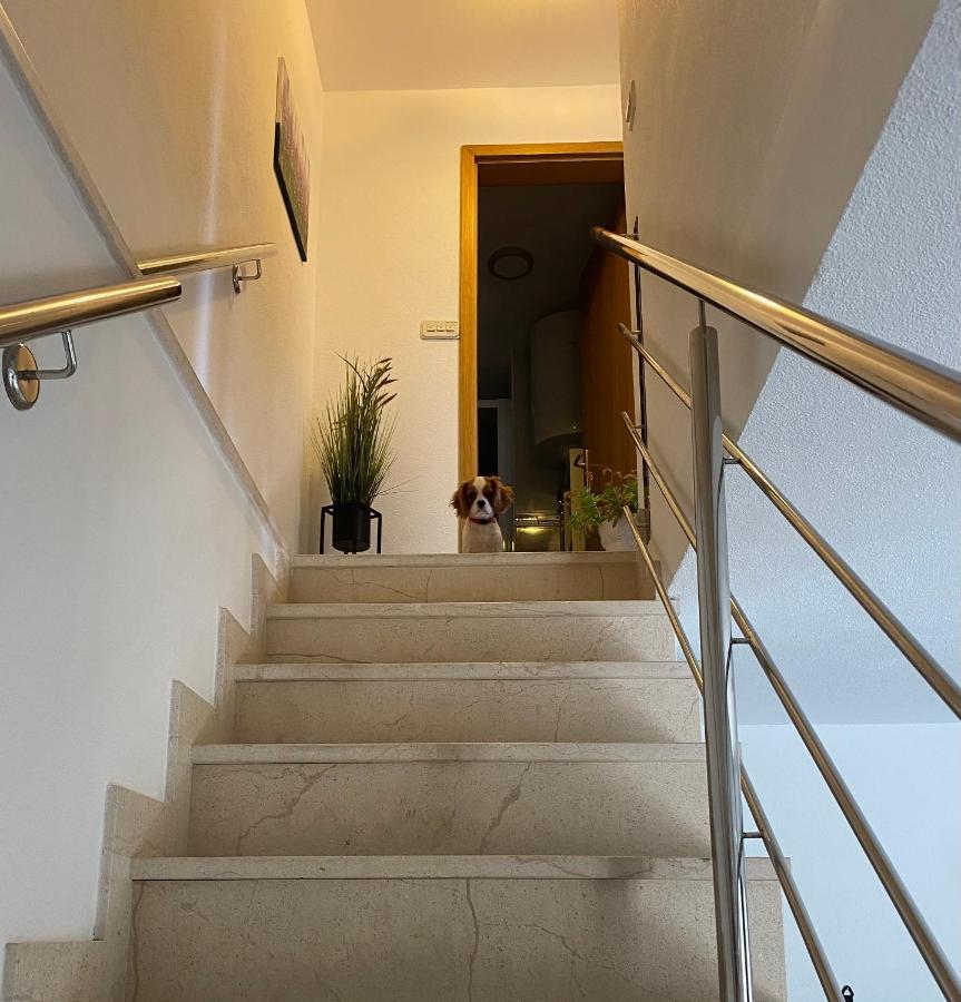 Mediterano Apartment - City Center Split Zewnętrze zdjęcie